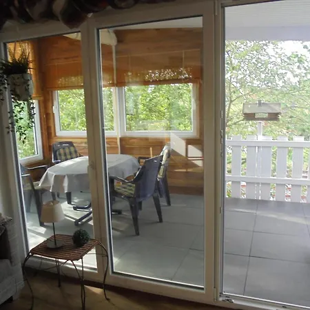 Papst * ジッテンゼン